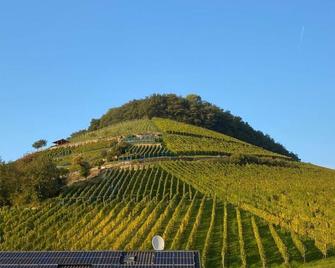 Holiday apartment meadow - Sulzburg - Vista del exterior