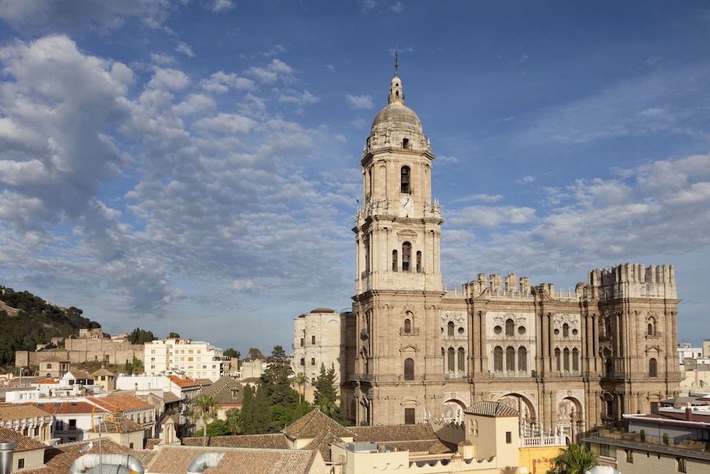 Petit Palace Plaza Malaga - Malaga