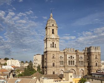 Petit Palace Plaza Malaga - Malaga