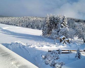 Landhaus Black Forest - Schluchsee