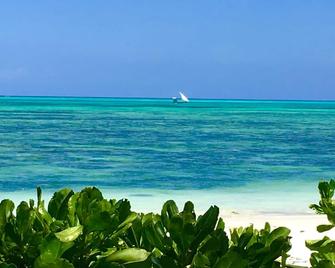 Driftwood Beach Lodge - Jambiani - Playa