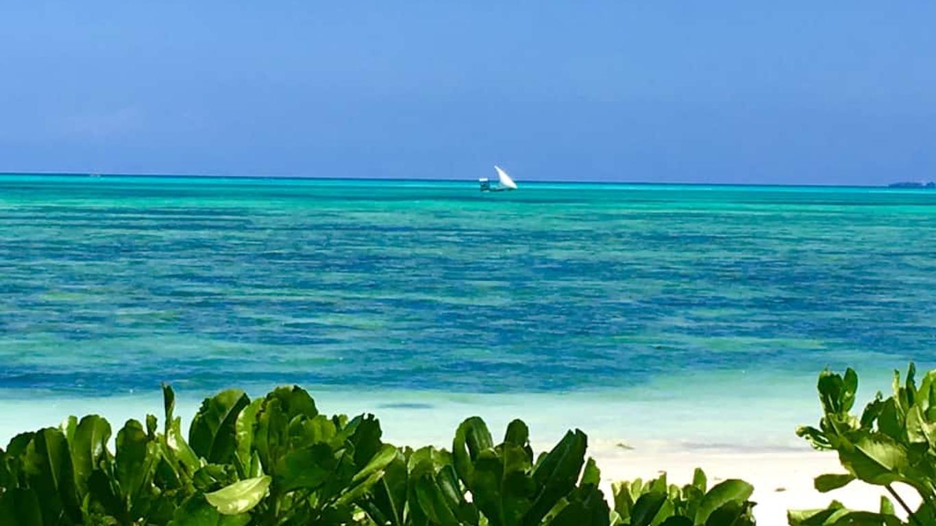Driftwood Beach Lodge