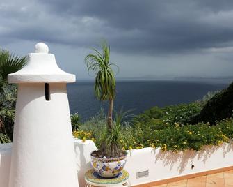 Ischia Casamicciola: Villa surrounded by nature, in the silence more 'absolute - Casamicciola Terme - Vista esterna