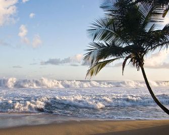 Beach andNature Lovers Cottage near secluded beach - Las Cuevas - Playa
