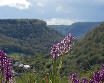 Maison de Vacances - vue panoramique rivière - Ornans - Buiten zicht