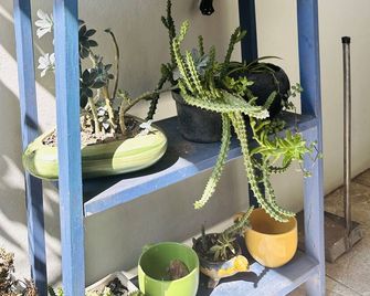 Bokatrip Jalatlaco - Oaxaca de Juárez - Edificio