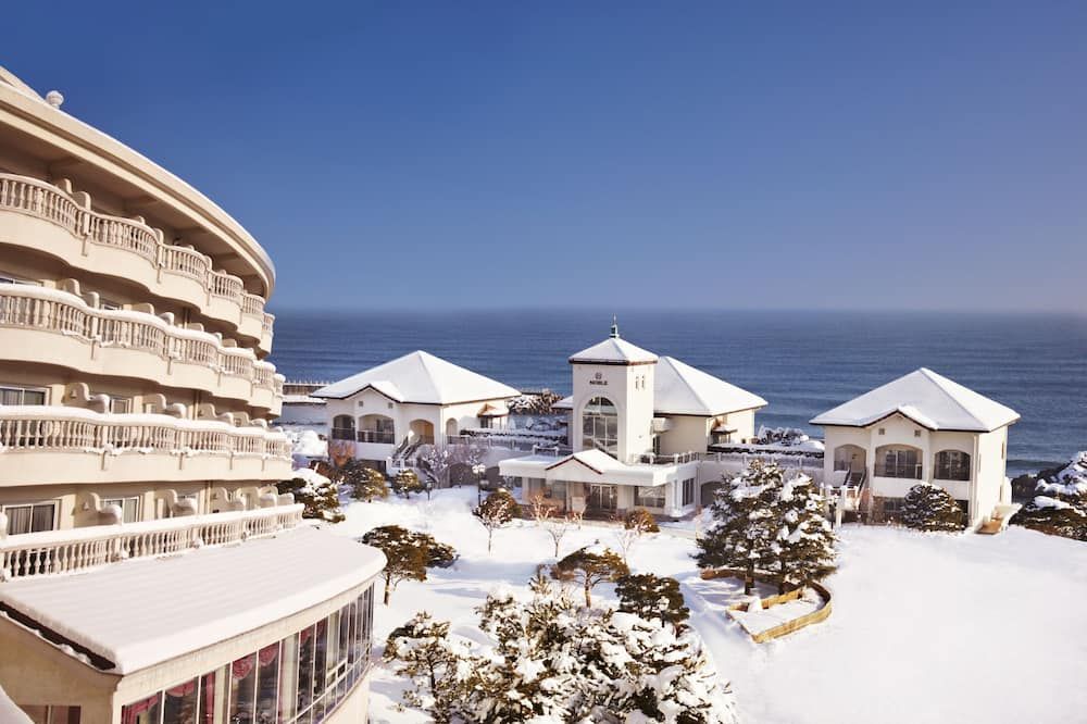 سول بيتش يانج يانج