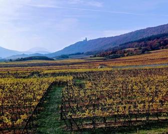 Vineyards - Gites 2 people - Alsace Wine Route - Dieffenthal - Vista del exterior