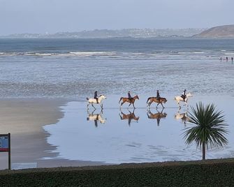Le Rocher Rouge - Plestin Les Greves - Plestin-les-Grèves - Plage