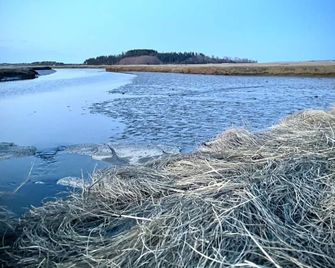 Coastal Cottage on Private Island, overlooking the Essex Great Marsh - Essex - Beach