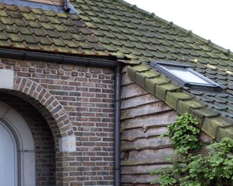B&B De Joker - Turnhout - Patio