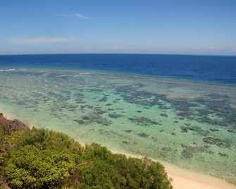 Gustavs Place - Buenavista - Playa