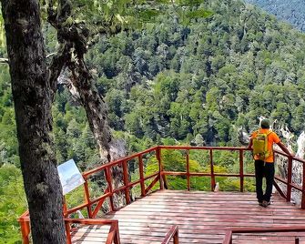 'Cabaña Los Coigues 2308 'Neltume Huilo Huilo Chile - Neltume - Balcón