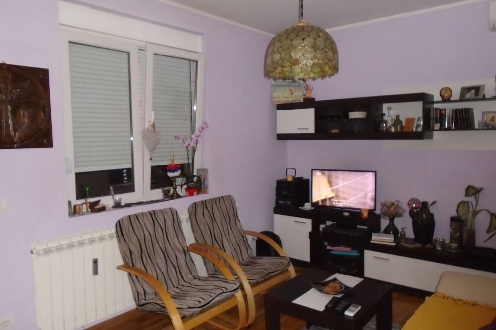 De Luxe Double room A/C with huge terrace - בלגרד - סלון