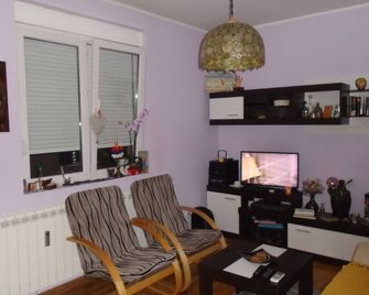 De Luxe Double room A/C with huge terrace - בלגרד - סלון