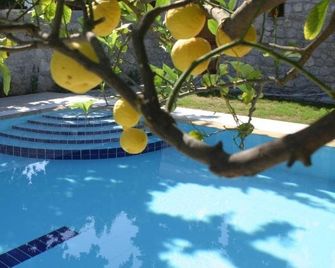 Villa Martha - Spétses - Piscine
