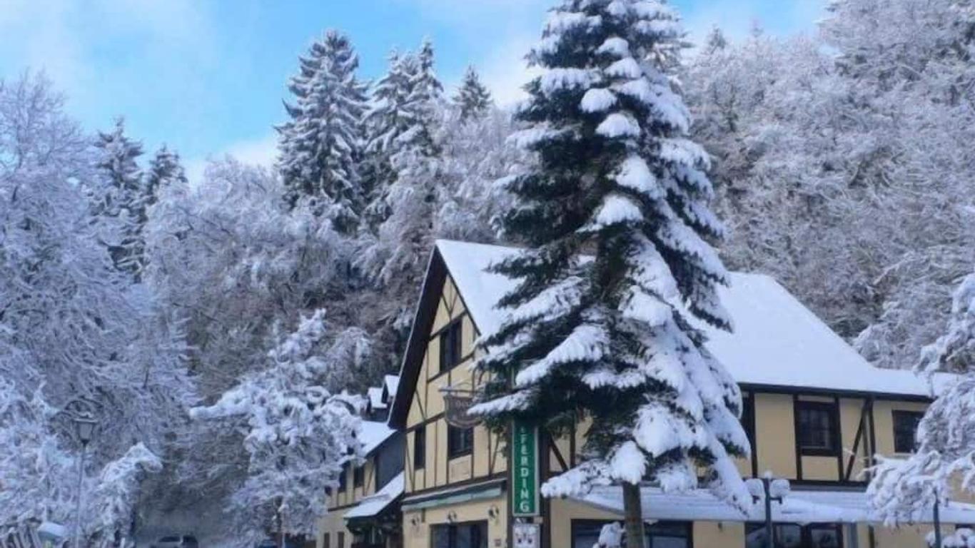 هوتل سيويبورين