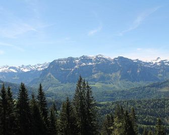 Apart Greber - Andelsbuch - Outdoor view