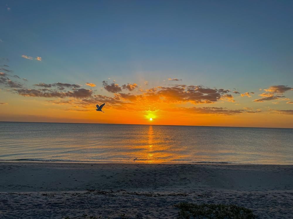 Pearl Beach Inn - Englewood - Plage
