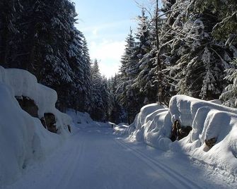 Le Relais Nordique - La Pesse