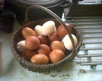 Loge & Broc - La Possonnière