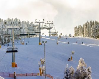 هوتل نيدرزفيلد - وينتربرغ - وسائل الراحة في مكان الإقامة