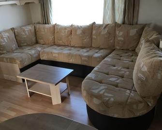 3-bedroom mobile home 40 m² with covered terrace 4.50m - Onzain - Вітальня