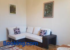 Satu Mare Apartments - Satu Mare - Living room