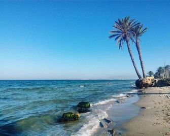 Palmyra Holiday Resort & Spa - Families and Couple - Monastir - Ranta