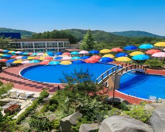 Berion Resort - Pyeongchang - Pool