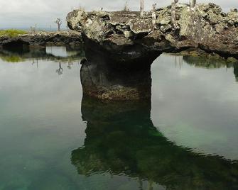 Tour to volcan, swim with sharks - Marriat #2 - Puerto Villamil - Gebäude