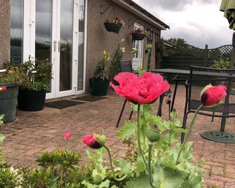 Visit Wales 4 Star, rural bungalow - Sauna, jacuzzi, play area and Free Wi-fi - Cwmbran - Patio