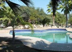 Tautona Lodge - Ghanzi - Pool