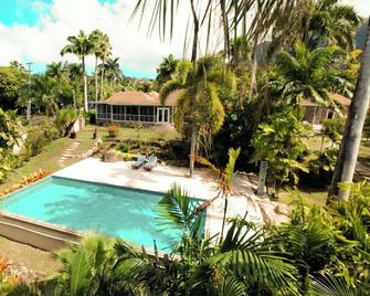 The Mount Villa at Palm Garden Nevis - Jessup's Village - Zwembad