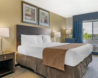 Best Western Port Huron Blue Water Bridge - Port Huron - Bedroom