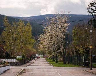 Willow's Nordic Shepherds Hut - Ballater - Außenansicht