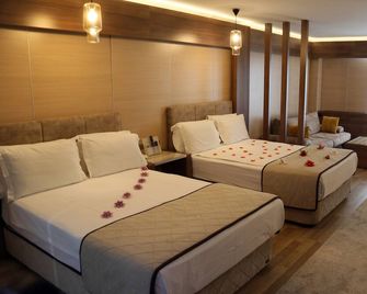 Basmacioglu Hotel - Special Class - Isparta - Bedroom
