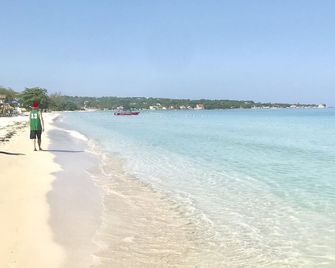 Splashrock Ocean View Villa, New Upgrades - Negril - Strand