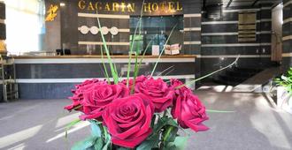 Gagarin Hotel - Yuzhno-Sakhalinsk