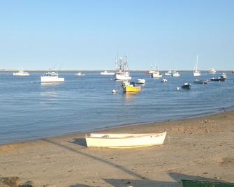 Quaint & Cozy Downtown Chatham Home, Walk to Town and Beaches - Chatham - Beach