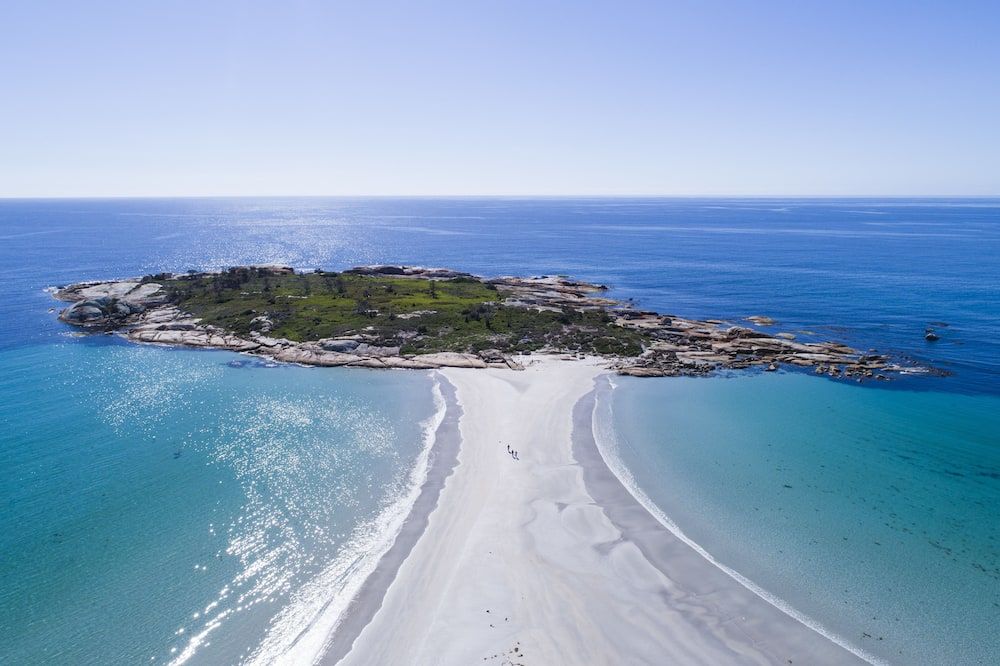 دياموند أيلاند ريزورت آند بينغوين فيوينج