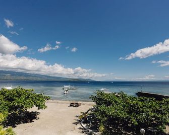 Turtle Bay Dive Resort - Moalboal - Beach