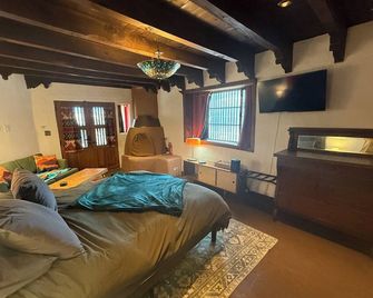 Historic Adobe Studio • Kiva Fireplace • Walk to Taos Plaza • Pet-Friendly - Taos - Bedroom