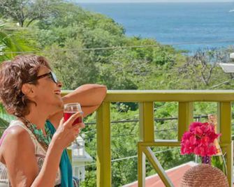 그룸스 비치 빌라 & 리조트 - 세인트 조지 - 발코니