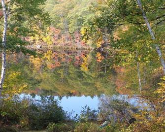 Beautiful Cabin Next To Hiking and Snowmobile Trails And Forest Reserve - Center Lovell - Vista del exterior