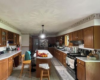 Peaceful 2-bedroom house near Guthrie Clinic and 40 min to 2 Finger Lakes - Sayre - Kitchen