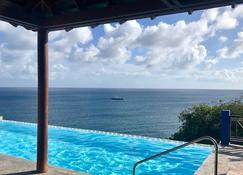 Lovely villa perched on a hill side overlooking the Caribbean Sea. - Frigate Bay - Pool