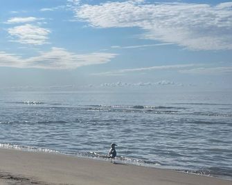 Lakeside Living with Liana on the shores of pristine Long Point Beach sleeps 8! - Long Point - Beach