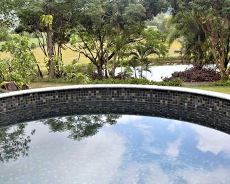 Stay near nature, close to Port Douglas and Mossman. Pet-Friendly! - Cassowary - Zwembad
