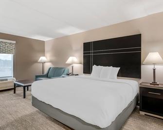 Quality Inn and Suites Union City-Atlanta South - Union City - Schlafzimmer